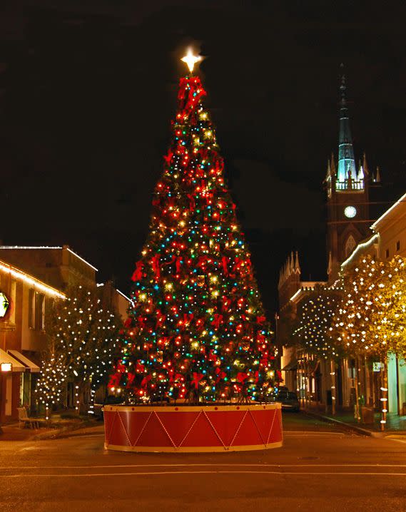 Mississippi: The Natchez Christmas Tree