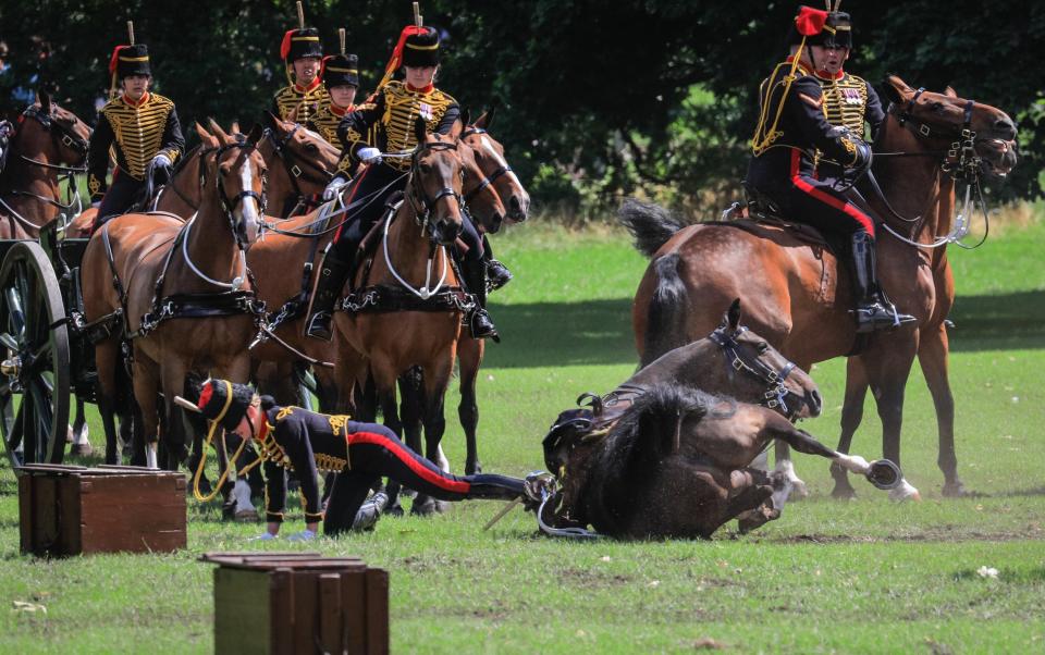 One soldier fell from his horse when the animal stumbled during the event