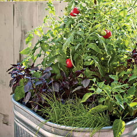 One-pot vegetable garden