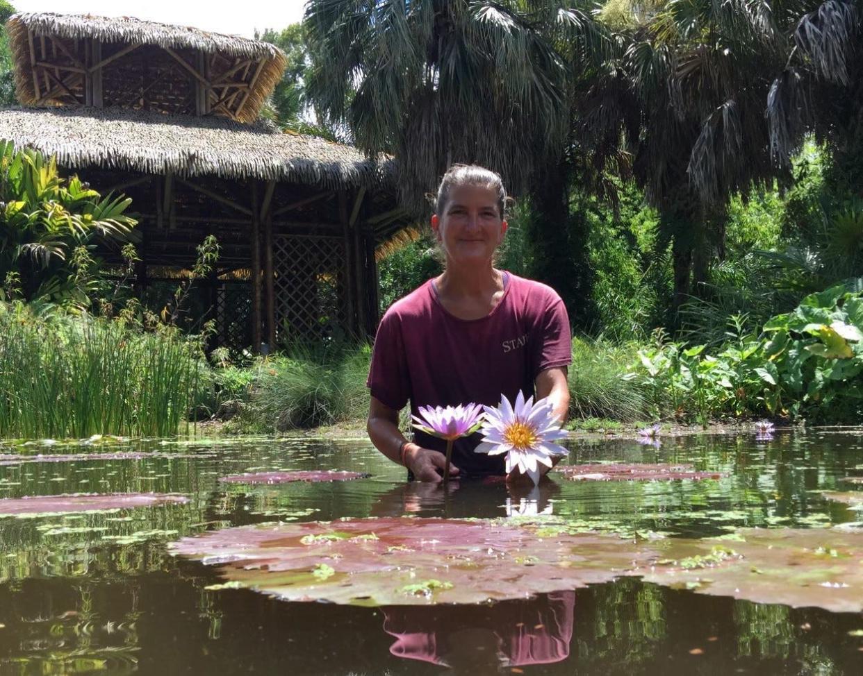 Nikki Wojtowicz, McKee horticulture team member, in the ponds showcasing Nymphaea ‘Chaz.’