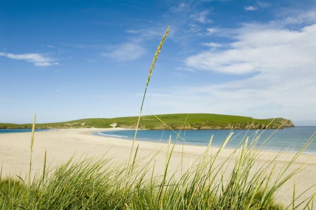 View through grass of empty sandy beach