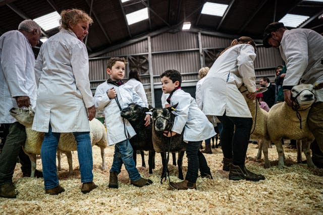 The Cornish Winter Fair