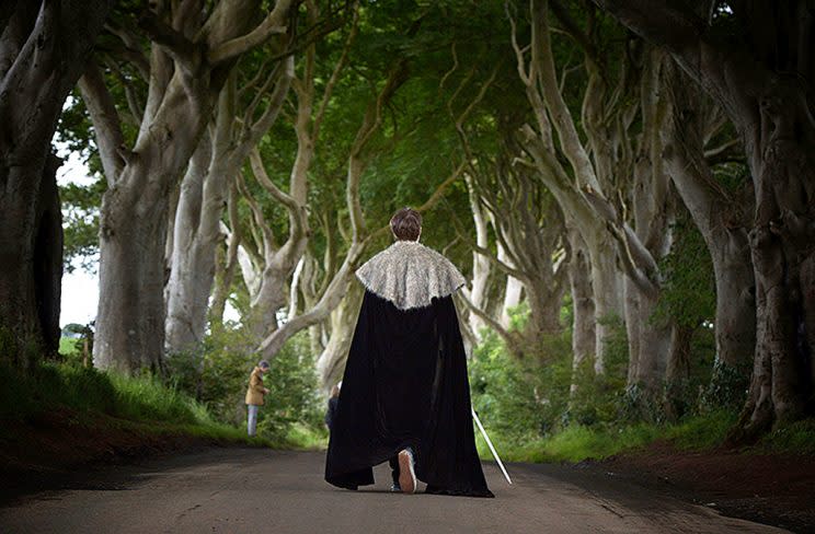 Dark Hedges. (Photo: Charles McQuillan/Getty Images)