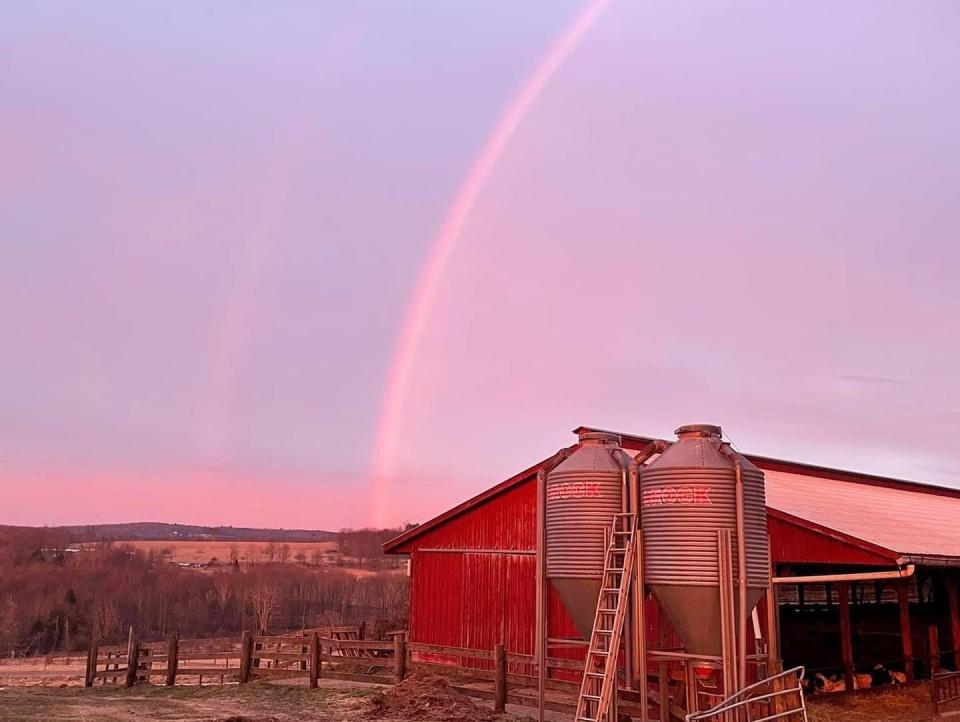 A rainbow graced the sky the morning of February 9 over Highland Farm, home of Calkins Creamery in Damascus Township, Wayne County. Photo by cheesemarker James Regelsky.