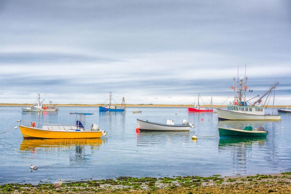 Daydream Over These Photos of Idyllic Cape Cod