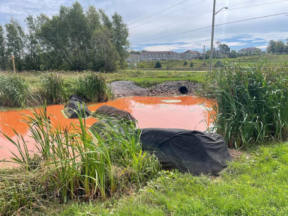 Crowell says the town requires erosion and sediment control plans from developers, and many developments include sediment ponds like this one, to stop the runoff from reaching nearby waterways. 