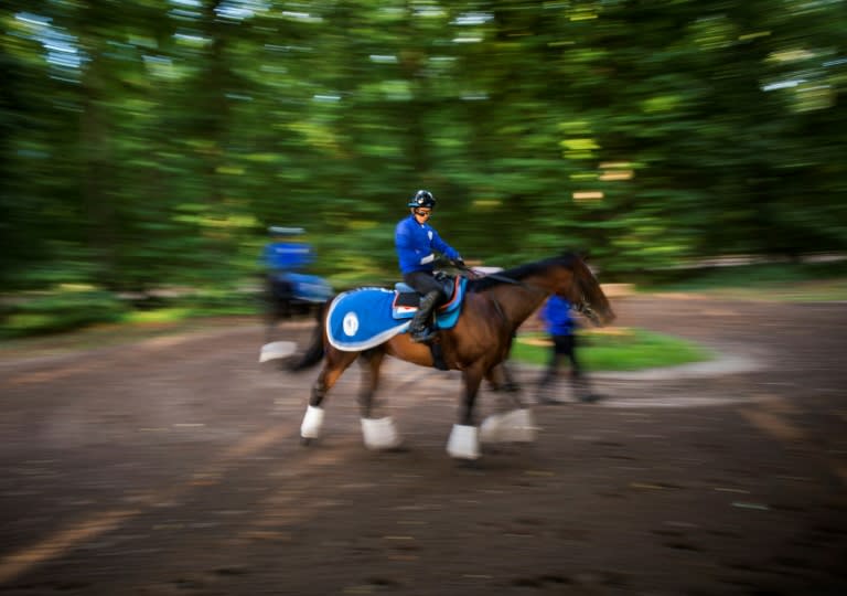 Japanese owned horse Satono Diamond takes part in a training session at Chantilly on September 6, 2017, ahead of the Prix de l'Arc de Triomphe