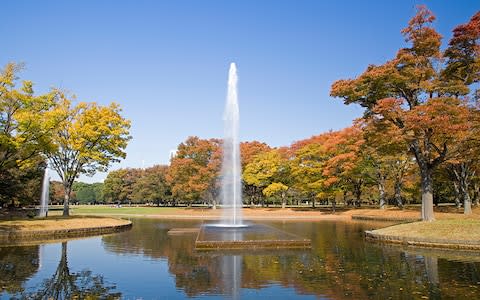 Yoyogi Park - Credit: gyro