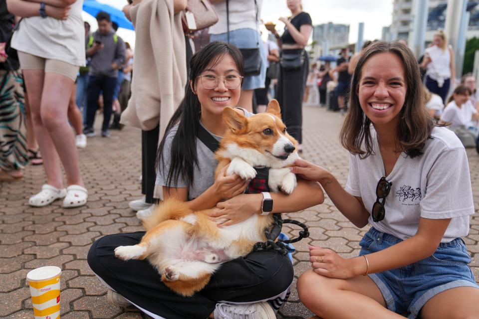 Kiki Liu waiting in line with her 3-year-old corgi Bao for Taylor Swift merchandise on Wednesday, Feb. 21, 2024, in Sydney, Australia.