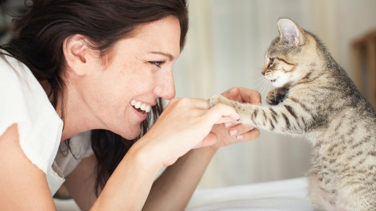  Smiling woman playing with her cat — this is one of the best tricks to teach your cat . 