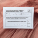 <p>Scottish designer Molly Goddard, who shows at London Fashion Week, posted a photo of her polling card - including her decision to stay in the EU. <i>[Photo: Instagram/Molly Goddard]</i></p>