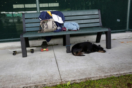 FILE PHOTO: A dog waits for its owner to return at a pet-friendly evacuation center in Pahoa, available to residents who were forced to leave their homes after the Kilauea Volcano erupted, in Hawaii, U.S., May 4, 2018. REUTERS/Terray Sylvester/File Photo