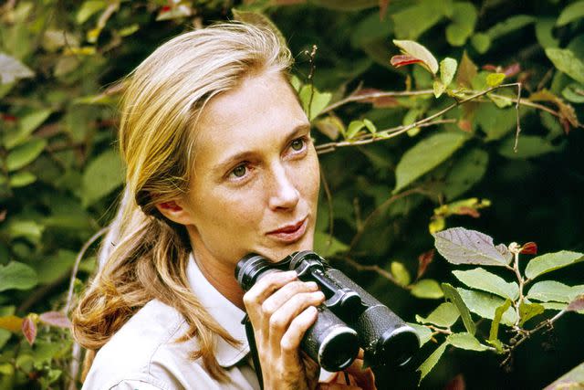 CBS via Getty Images Jane Goodall in ‘Jane’