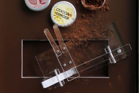 A Chocolate Shooter is displayed near cocoa powder in the factory of Belgian chocolatier Dominique Persoone in Bruges, February 3, 2015. REUTERS/Francois Lenoir