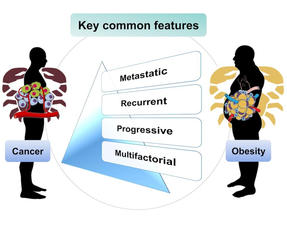 As a disease, obesity shares many common features with cancer. (Besma Boubertakh, using Biorender.com and Mindthegraph.com)