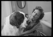 <p>Betty White with another one of her pups, Stormy, a St. Bernard, in 1954. In addition to her acting career, White has been an animal advocate for years. </p>