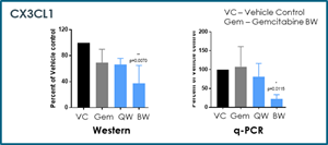 Figure 1B