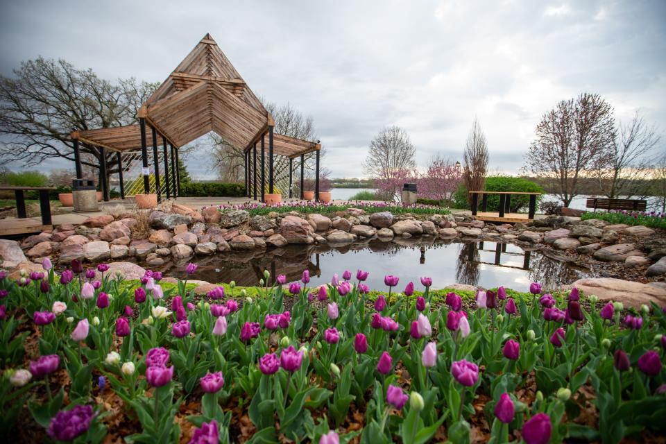 A grand pergola at the Ted Ensley Gardens at Lake Shawnee offers a great spot for shade while walking through the gardens during Tulip Time in April.