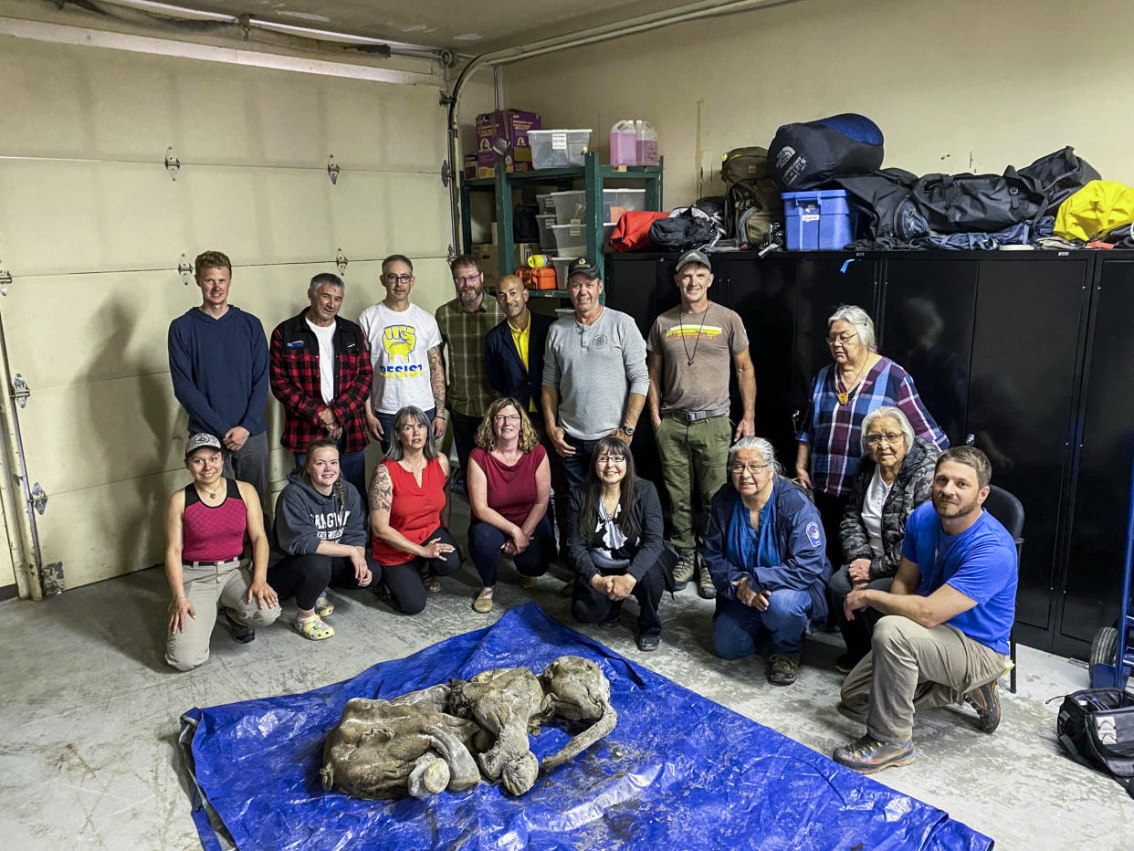 Members of Trʼondëk Hwëchʼin, the Yukon government, Treadstone Mine and the University of Calgary with the mummified baby woolly mammoth, Nun cho ga. (Photo via Government of Yukon)