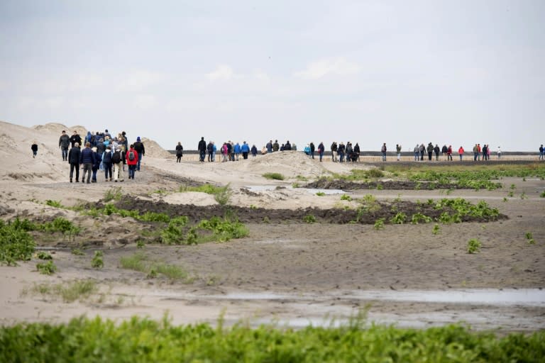 Experts recently counted 127 kinds of plants on the islets, most brought in by windborne seeds