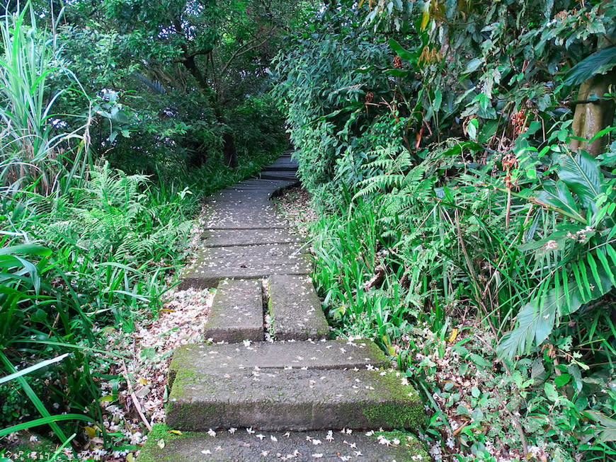 新北土城｜文筆山步道