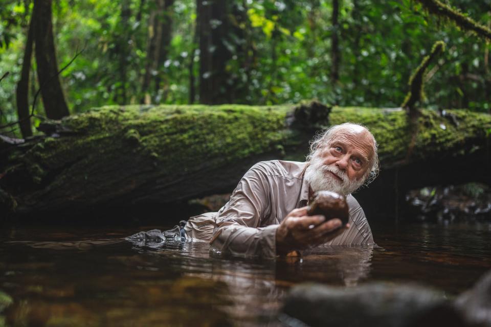 Bruce Means wading in the water on scientific mission at elevational transect of the Upper Paikwa River Basin near Guyana’s northwestern frontier with Brazil and Venezuela to look for new species of amphibians and reptiles in one of the world’s richest and least explored hotspots of biodiversity.