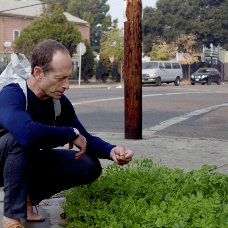 What is Wild Philip Stark Foraging (Courtesy The Botanist Islay Dry Gin)