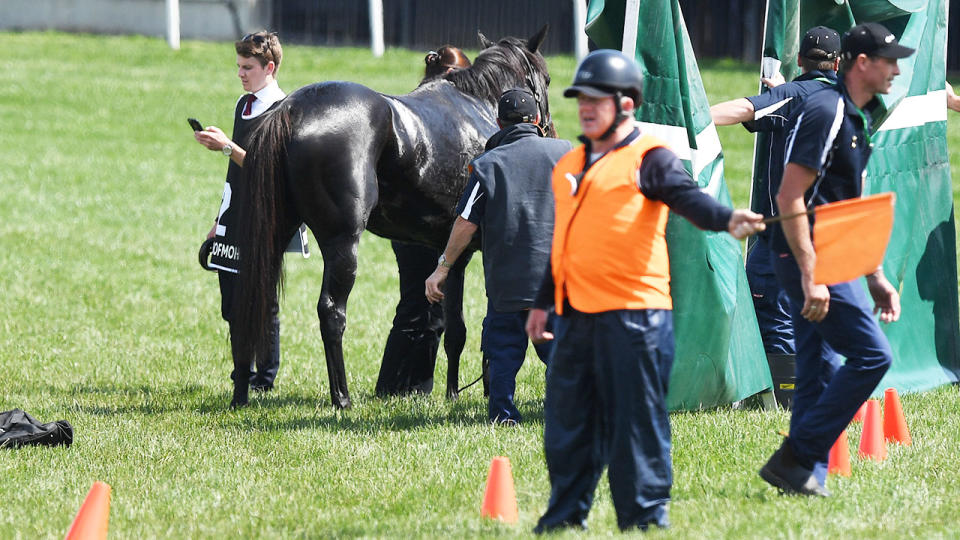 The CliffsofMoher, pictured here after an incident in the 2018 Melbourne Cup.