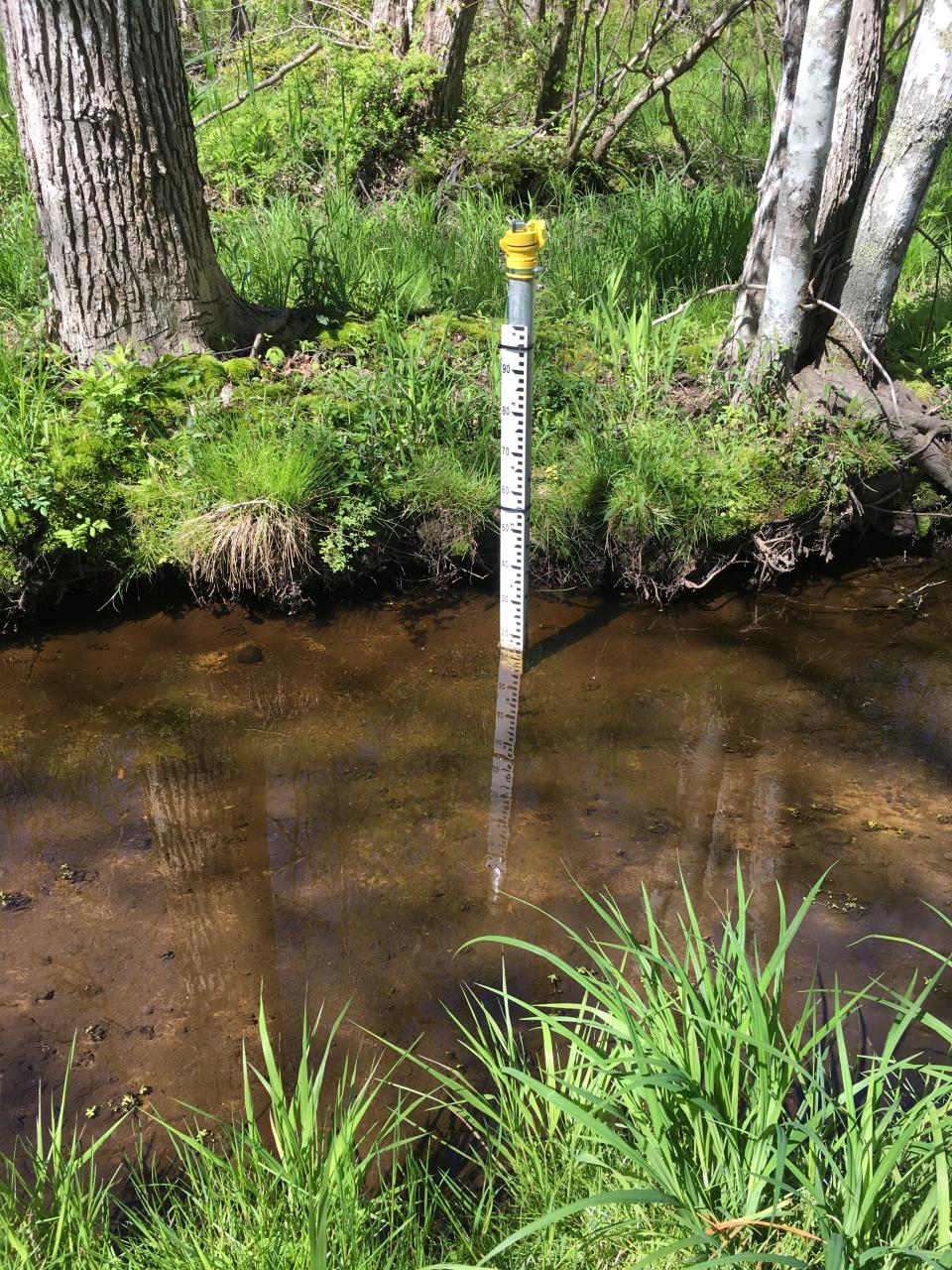 Measurements are being taken in Buttonwood Brook by the Buzzards Bay Coalition.