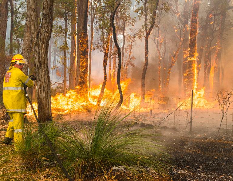 Firefighters work to contain wildfires in the Stoneville area, a suburb east of Perth in the state of Western Australia, on January 12, 2014