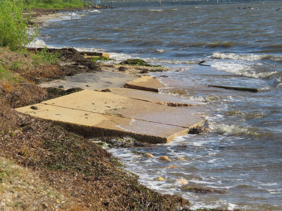The remains of a shuffleboard court that once was far from the water now sits halfway into Barnegat Bay in Lacey Township N.J. on Aug. 16, 2022 photo. A project is under way thereto establish oyster colonies to blunt the force of incoming waves. (AP Photo/Wayne Parry)