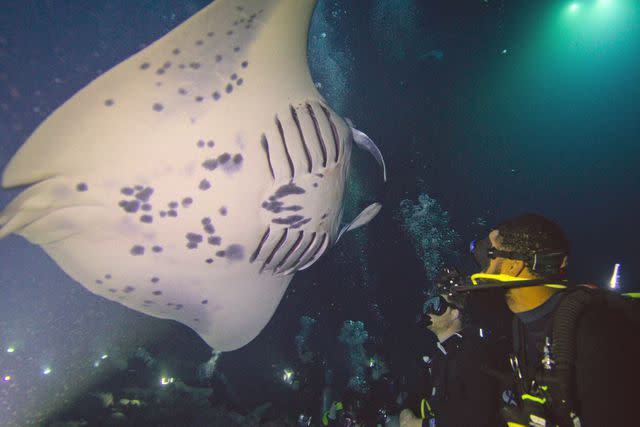 <p>Courtesy of Netflix</p> Gabriel George and Prince Harry scuba diving in 'Heart of Invictus' on Netflix.