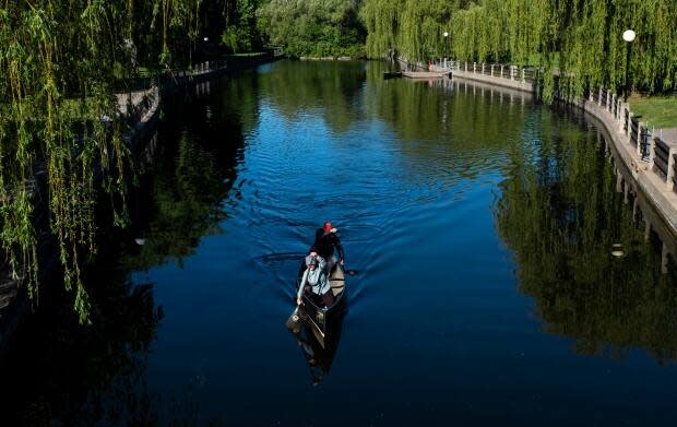 People paddle along Patterson Creek on the Rideau Canal in late May. (Justin Tang/Canadian Press - image credit)