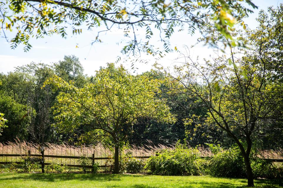 The back yard of the farmhouse is lined by trees. In all, the property has 364 species of plants, with hiking trails already created.