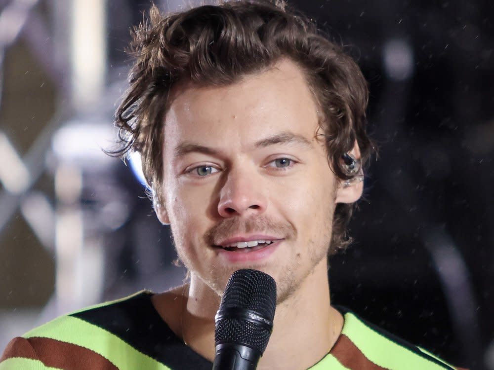 Harry Styles spielt im kommenden Jahr auch wieder in Deutschland. (Bild: Debby Wong/Shutterstock.com)