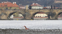 <p>Auch in diesem Jahr wagte sich so mancher Hartgesottene beim jährlichen Winterschwimmen durch die Moldau in Prag in die Fluten. (Bild: REUTERS/David W Cerny) </p>