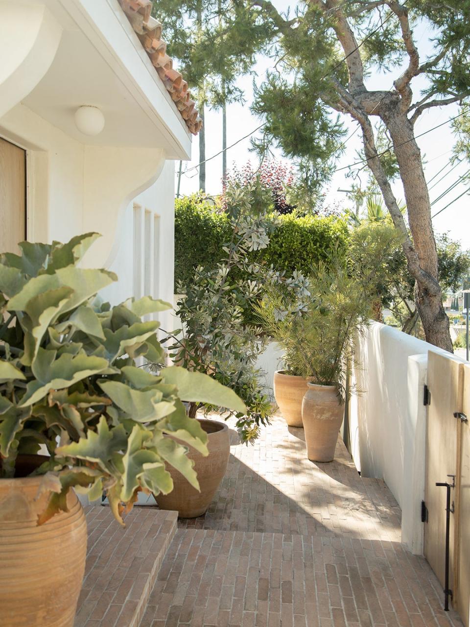 plants on other side of gate