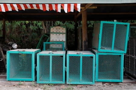 Cages are pictured at Orangutan Rehabilitation and Reintroduction site of Borneo Orangutan Survival Foundationn (BOSF) Samboja Lestari in Kutai Kertanegara regency