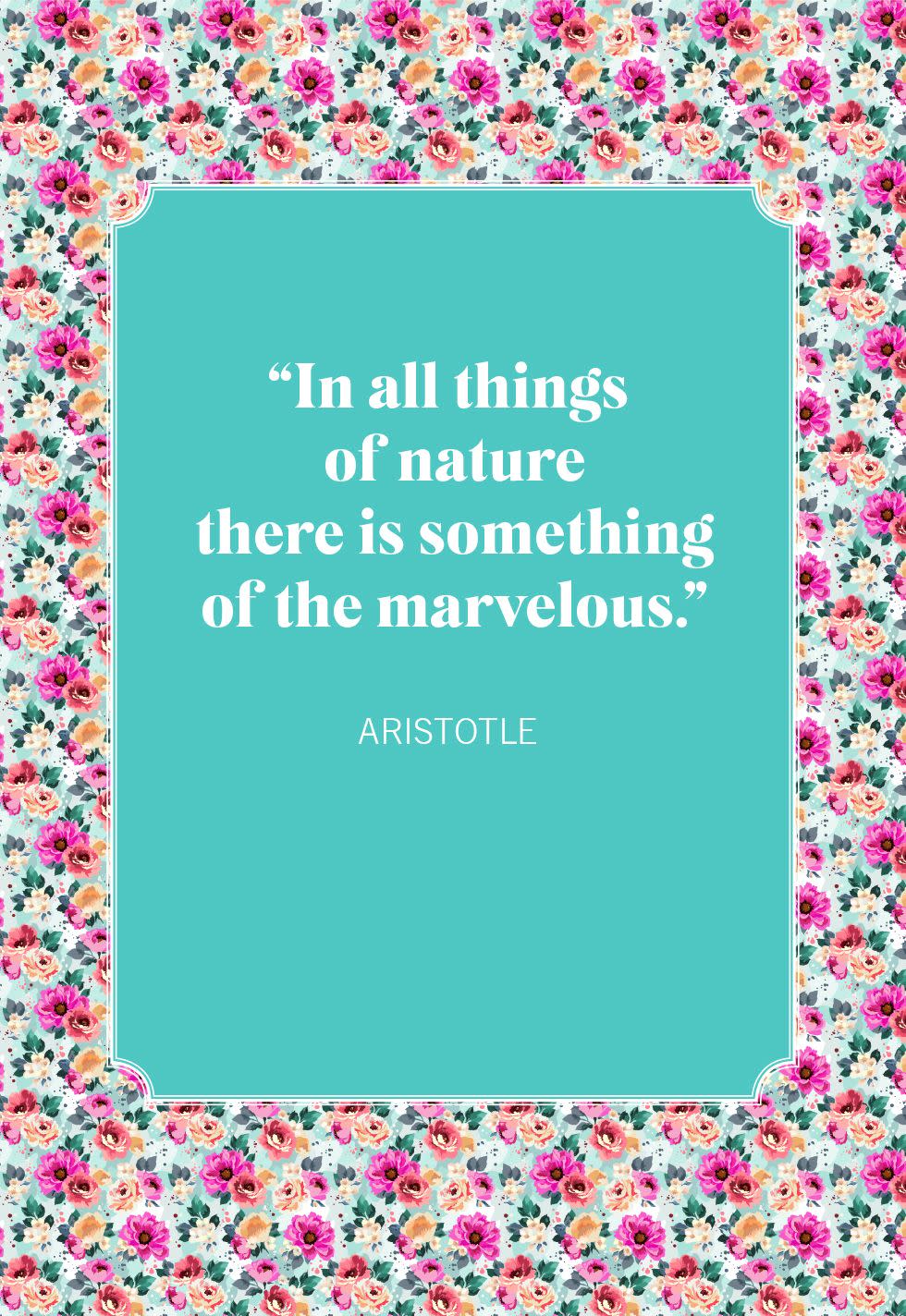 nature quotes aristotle