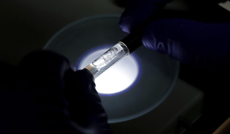 FILE - In this July 17, 2019, file photo, a Yolo! brand vape oil cartridge marketed as a CBD product is examined at Flora Research Laboratories in Grants Pass, Ore. Janell Thompson, a pioneer in marketing CBD as a health product, has pleaded guilty to selling large quantities of synthetic marijuana which was secretly added to vapes, sickening dozens. Prosecutors has also tied Thompson to Yolo!, which sickened at least 33 people in Utah. (AP Photo/Ted Warren, File)