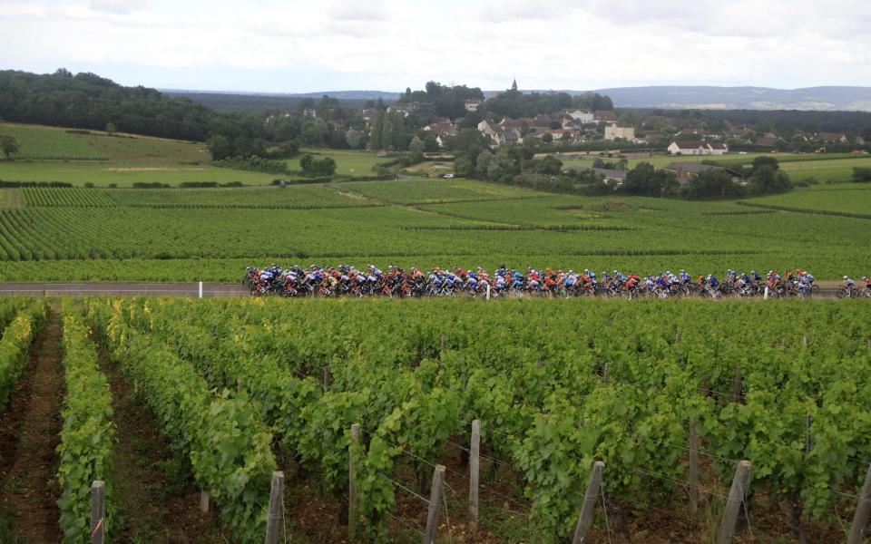 The peloton riding through