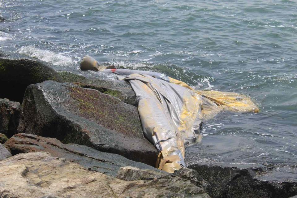 <p>John Schilling/The Wave</p> Delta emergency slide caught in a jetty in Queens, New York 