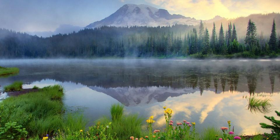 Mount Rainier National Park — Washington