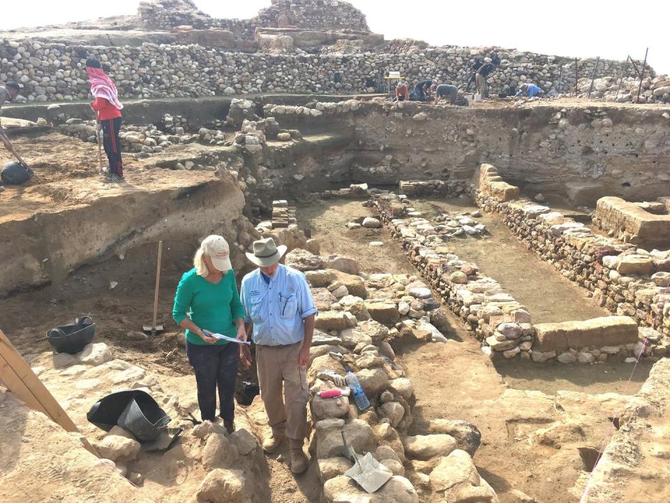 Excavators stand in a dry landscape with ruins of ancient walls