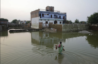 <p>Eine indische Frau kehrt nach Hause zurück und trägt ihre Hähne durch die Überflutungen in Allahabad im indischen Uttar Pradesh. (Foto: Rajesh Kumar Singh/ AP)</p>