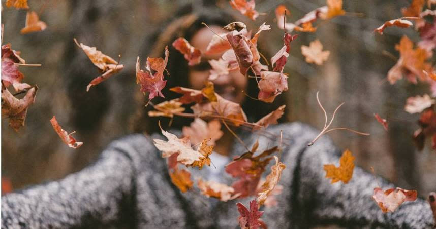 白露節氣象徵時節逐漸轉陰，天氣漸漸涼爽。（示意圖／Unsplash）