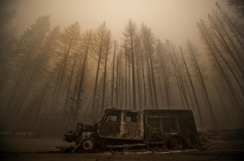 GREENVILLE, CA - AUGUST 07, 2021: Burned trees rise above a truck destroyed by the Dixie Fire in the town of Greenville. (Mel Melcon / Los Angeles Times)