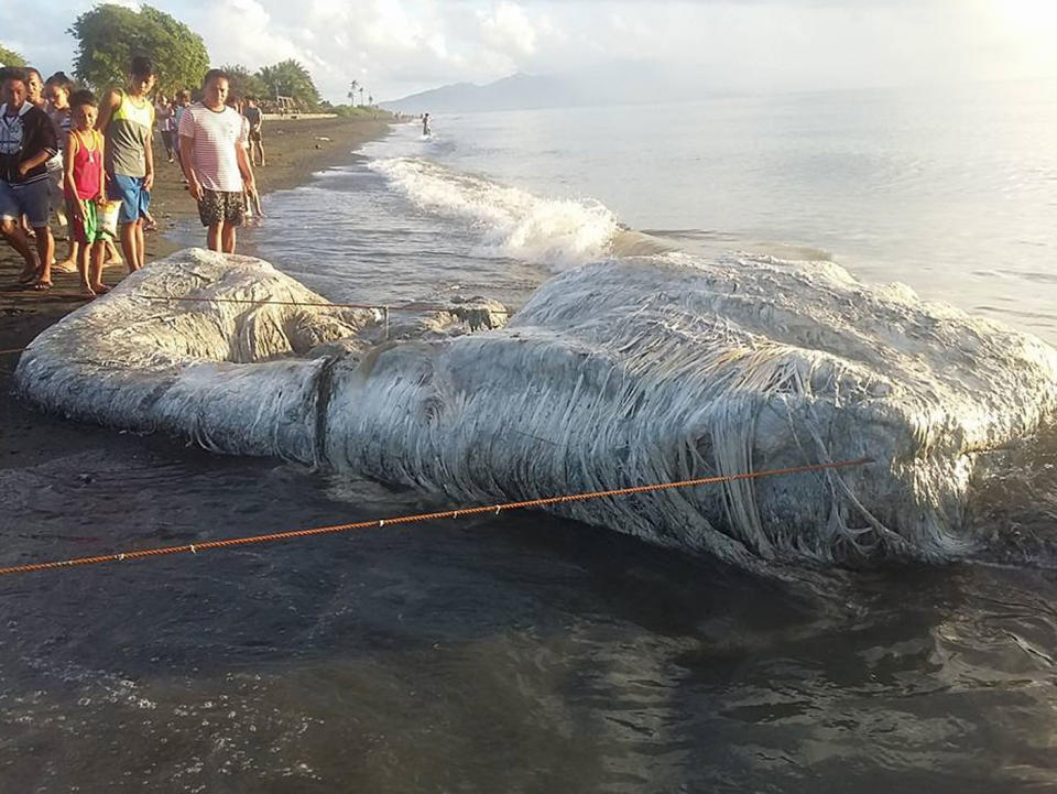 Footage has shown the moment a mystery “globster” sea creature washed up on a beach. Photo: Facebook/ Taru Tam Tam Maling