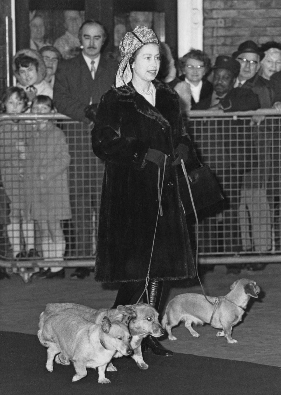1972: Queen Elizabeth II with her dogs at Liverpool Street Station in London on Dec. 28, 1972.