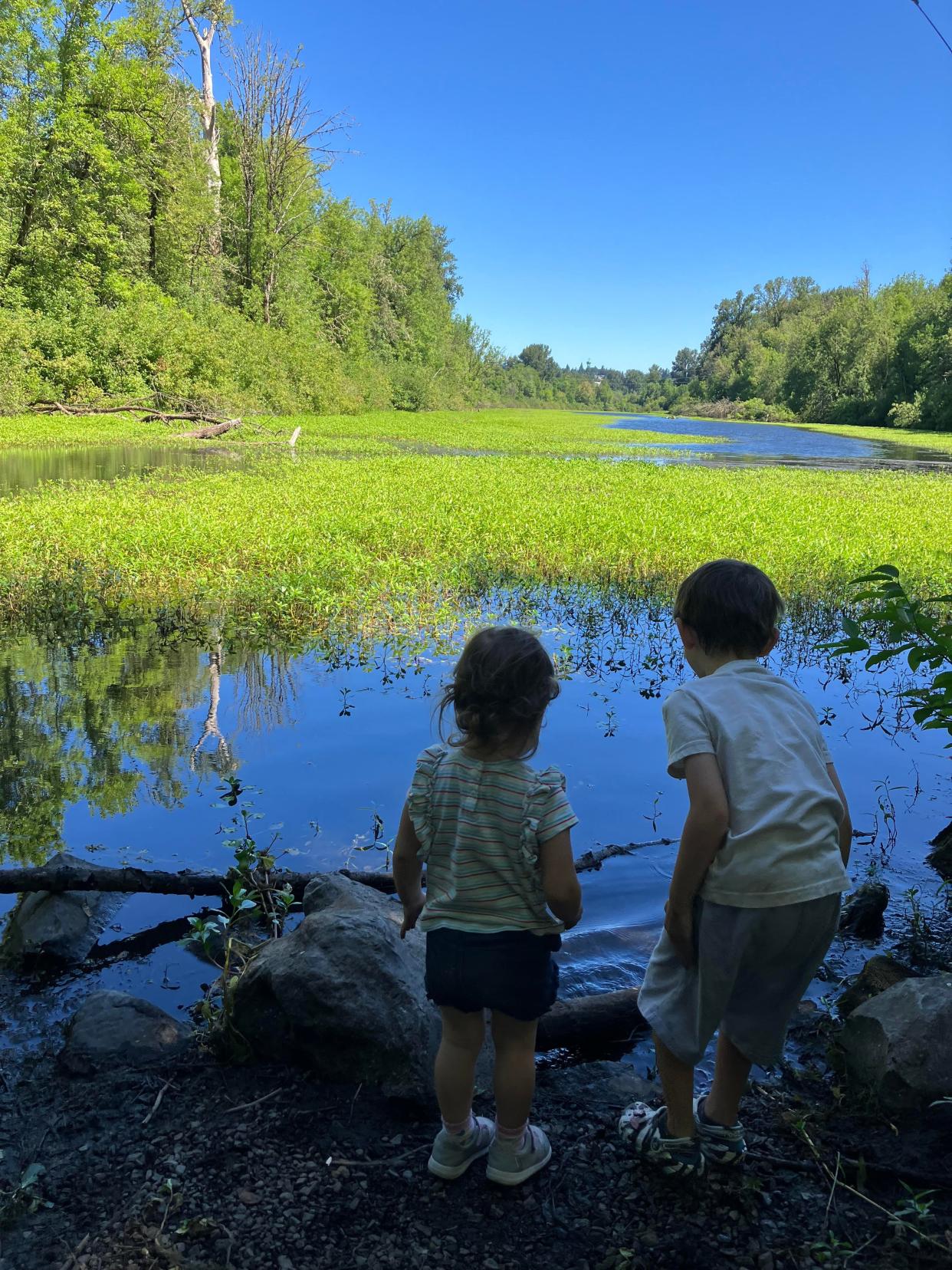 A view of Oxbow Slough from Minto-Brown Island Park in 2023.